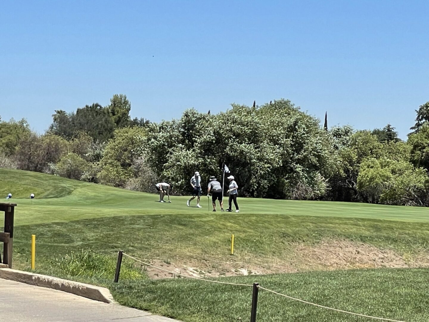 A Team of Golfers in Action on the Golf Course